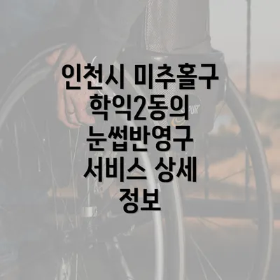 인천시 미추홀구 학익2동의 눈썹반영구 서비스 상세 정보