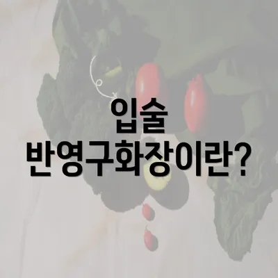 입술 반영구화장이란?