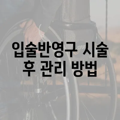 입술반영구 시술 후 관리 방법