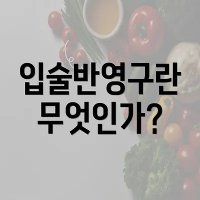 입술반영구란 무엇인가?