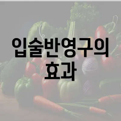 입술반영구의 효과