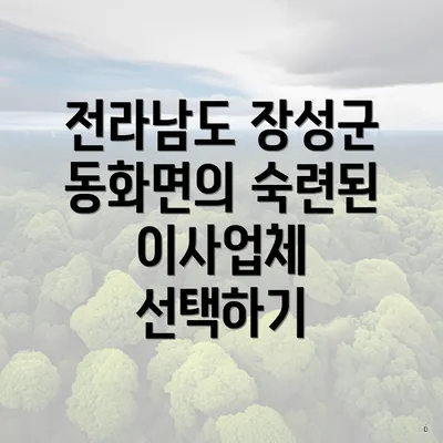 전라남도 장성군 동화면의 숙련된 이사업체 선택하기