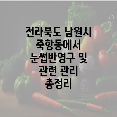 전라북도 남원시 죽항동에서 눈썹반영구 및 관련 관리 총정리