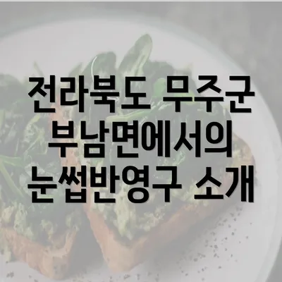 전라북도 무주군 부남면에서의 눈썹반영구 소개