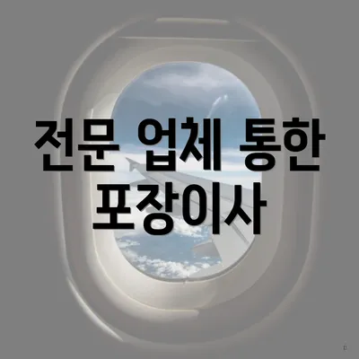 전문 업체 통한 포장이사