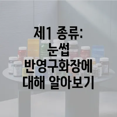 제1 종류: 눈썹 반영구화장에 대해 알아보기