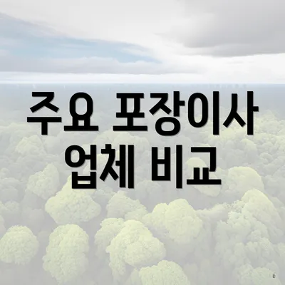 주요 포장이사 업체 비교