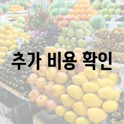 추가 비용 확인