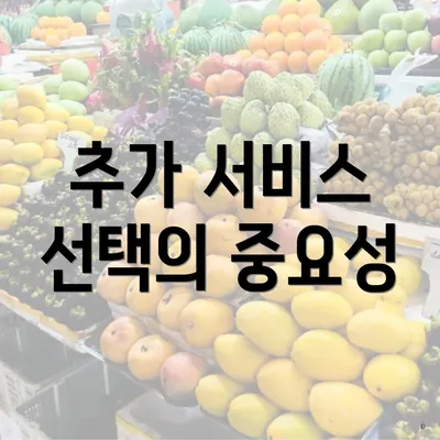 추가 서비스 선택의 중요성