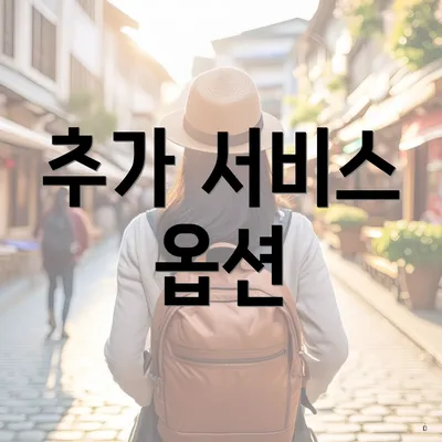 추가 서비스 옵션