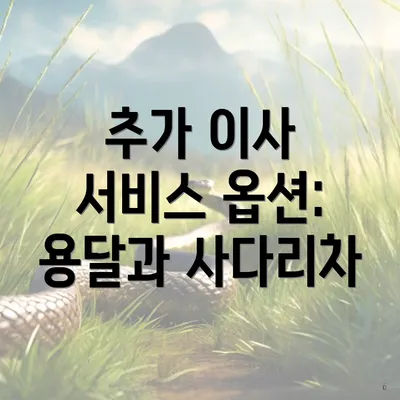 추가 이사 서비스 옵션: 용달과 사다리차