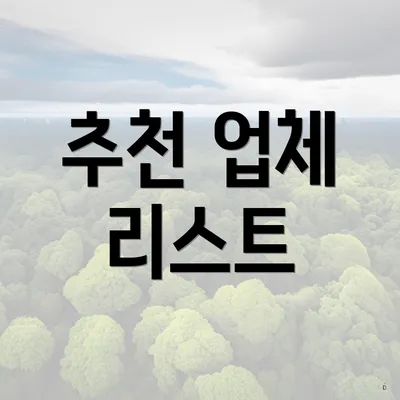 추천 업체 리스트