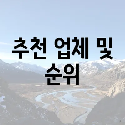 추천 업체 및 순위