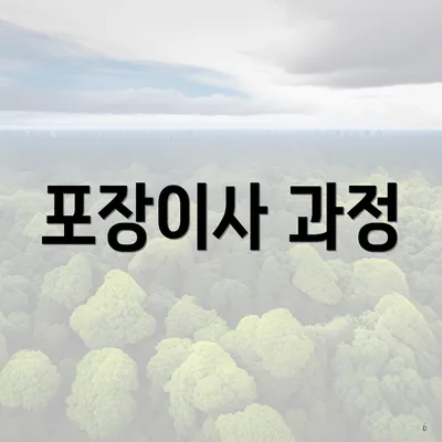 포장이사 과정