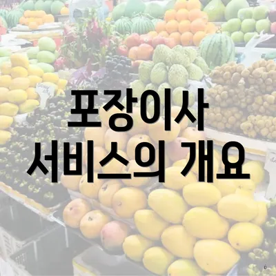 포장이사 서비스의 개요