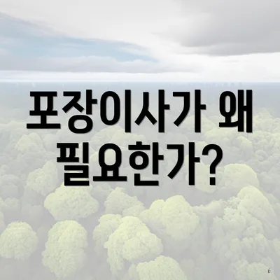 포장이사가 왜 필요한가?