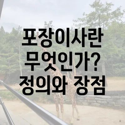 포장이사란 무엇인가? 정의와 장점