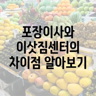 포장이사와 이삿짐센터의 차이점 알아보기