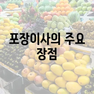 포장이사의 주요 장점