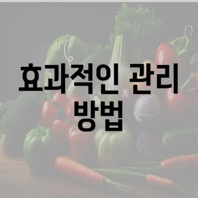 효과적인 관리 방법