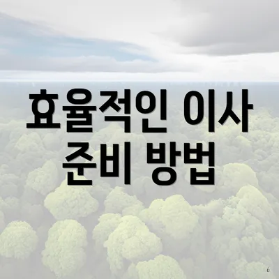 효율적인 이사 준비 방법