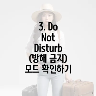 3. Do Not Disturb (방해 금지) 모드 확인하기