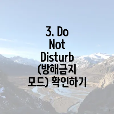 3. Do Not Disturb (방해금지 모드) 확인하기