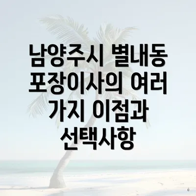 남양주시 별내동 포장이사의 여러 가지 이점과 선택사항