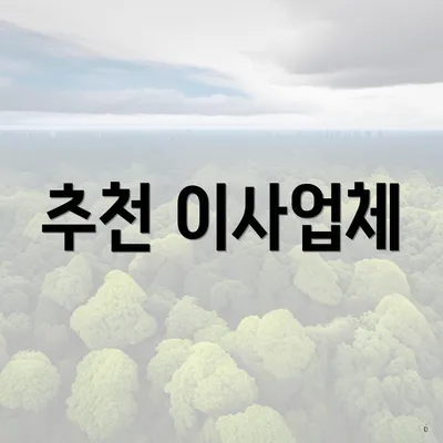 추천 이사업체