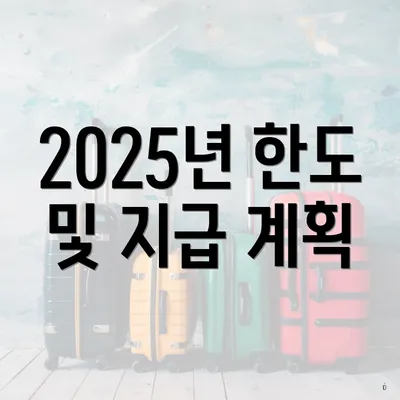 2025년 한도 및 지급 계획