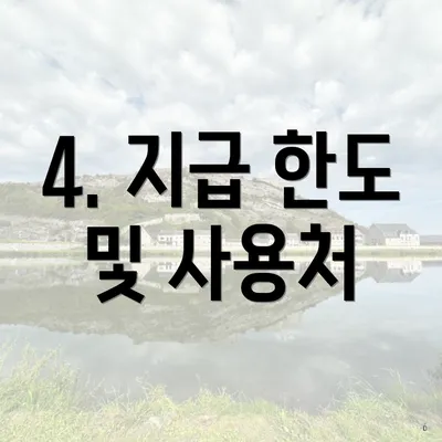 4. 지급 한도 및 사용처