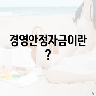 경영안정자금이란?
