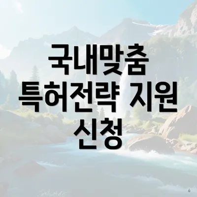 국내맞춤 특허전략 지원 신청