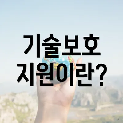 기술보호 지원이란?