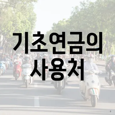 기초연금의 사용처