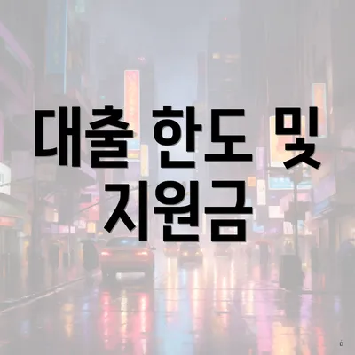 대출 한도 및 지원금