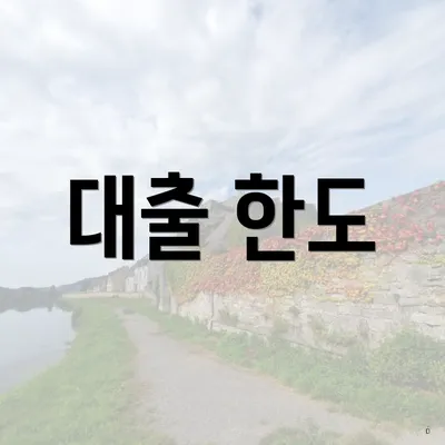 대출 한도