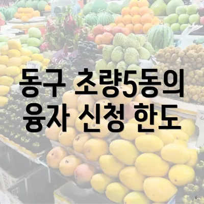 동구 초량5동의 융자 신청 한도