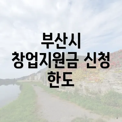 부산시 창업지원금 신청 한도