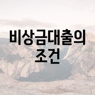 비상금대출의 조건