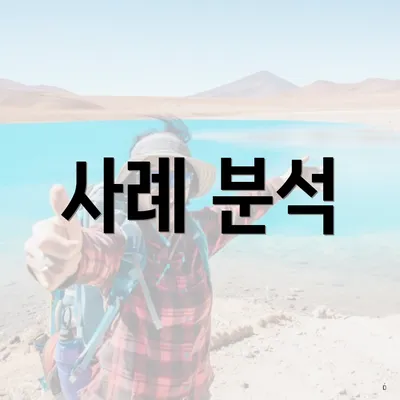 사례 분석