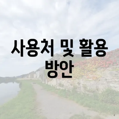 사용처 및 활용 방안