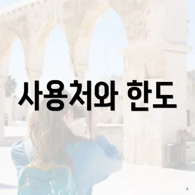 사용처와 한도