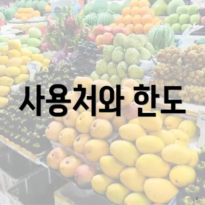 사용처와 한도