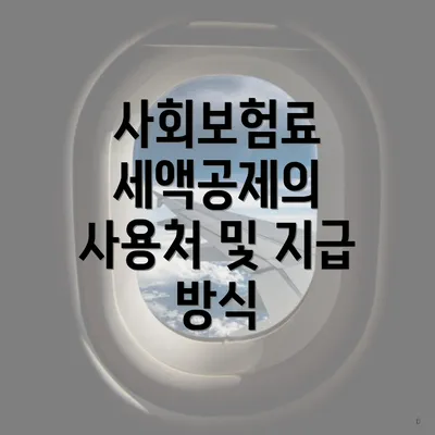 사회보험료 세액공제의 사용처 및 지급 방식