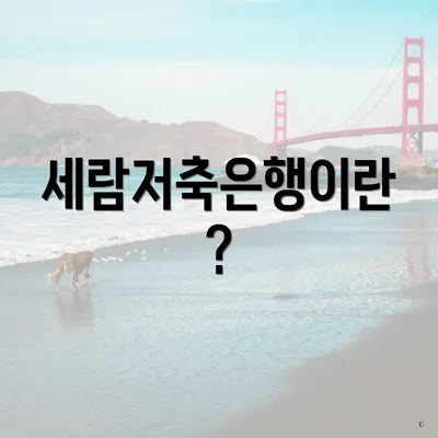 세람저축은행이란?