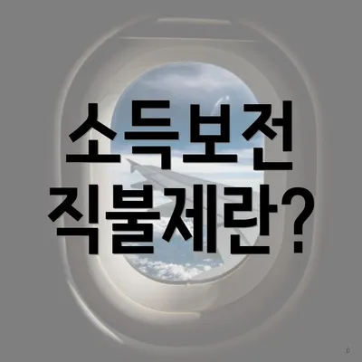소득보전 직불제란?