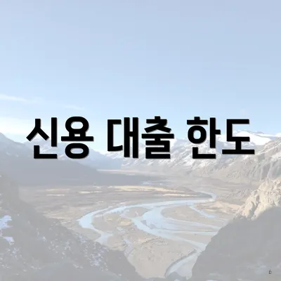 신용 대출 한도