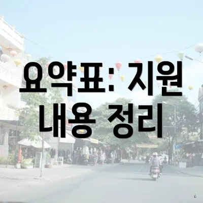 요약표: 지원 내용 정리
