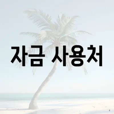 자금 사용처